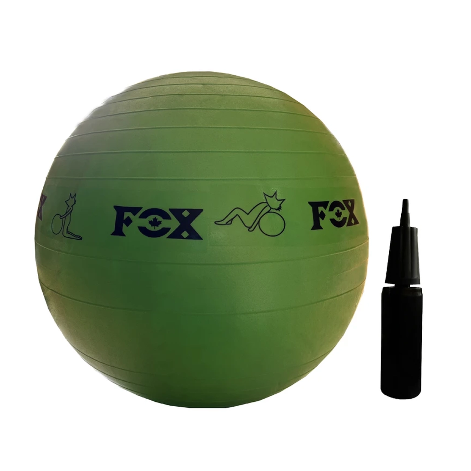 توپ جیم بال فوکس 75در رنگبندی متنوع