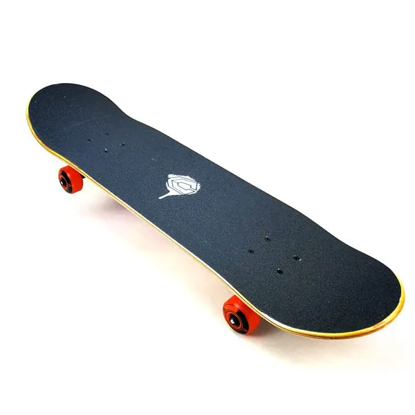 اسکیت برد کامل Capix