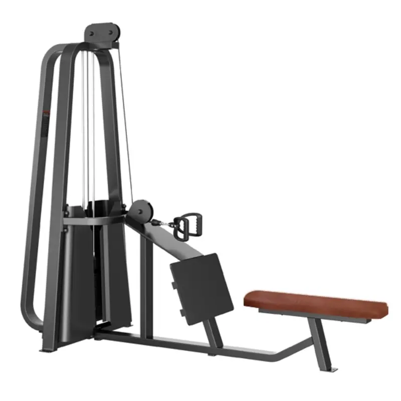 قایقی و روئینگ