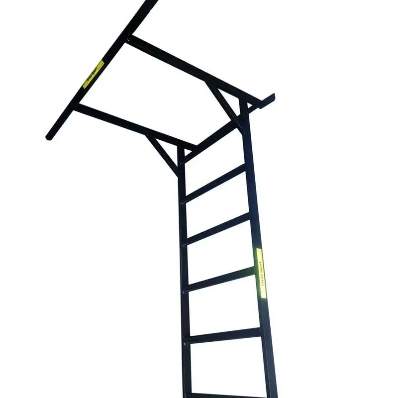 بارفیکس دیواری نردبانی