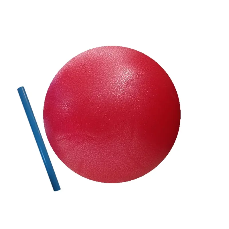 توپ پیلاتس نی دار 25 سانت